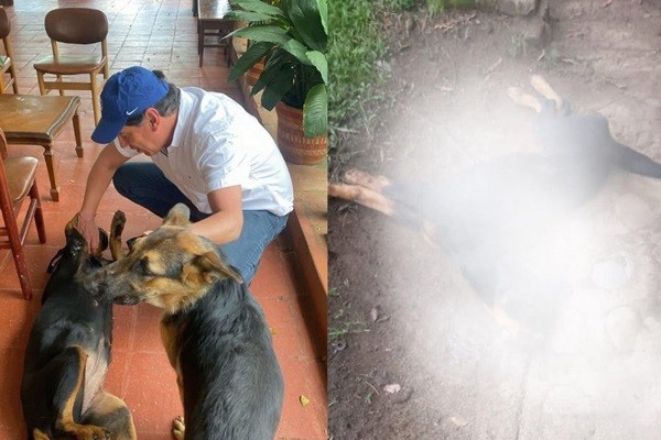 Presidente del CNE denuncia maltrato y muerte de sus mascotas