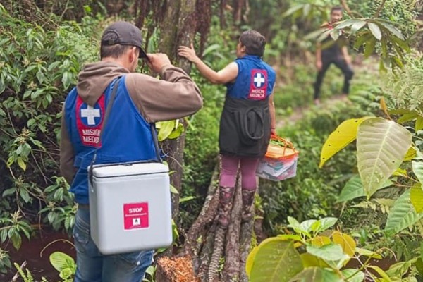 En Aipe hallaron muerto a un mono aullador portador de la Fiebre Amarilla